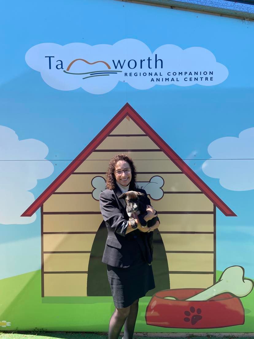 Healthy Pet Day At The Tamworth Regional Companion Animal Centre